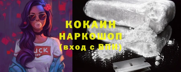 гашик Володарск