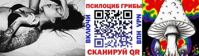 как найти закладки  Липки  Псилоцибиновые грибы Magic Shrooms 